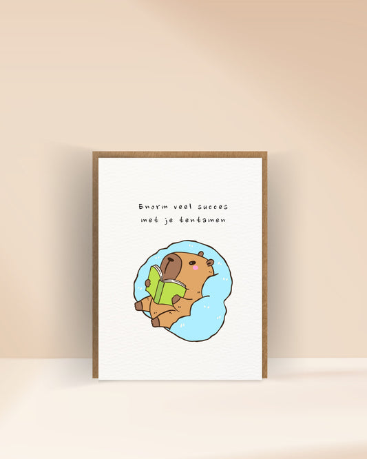 Enorm veel succes met je tentamen